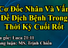 Chúa Nhật 22-03-2020