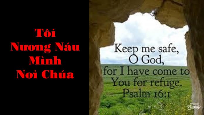 toi-nguon-nau-minh-noi-chua