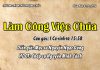 Chúa Nhật 01-11-2020
