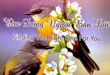 Tìm Đúng Người Bạn Đời