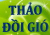 Thảo Đồi Gió