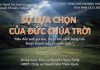 Chúa nhật 13-11-2022