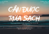 Chúa nhật 02-04-2023