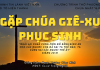 Chúa nhật 16-04-2023