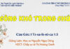 Chúa nhật 10-11-2024