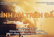 Lễ Giáng Sinh 2024 – Bình An Trên Đất – 25-12-2024