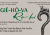 Chúa Nhật 23-02-2025