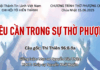 Chúa Nhật 15-06-2025