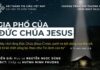 Chúa Nhật 28-12-2025